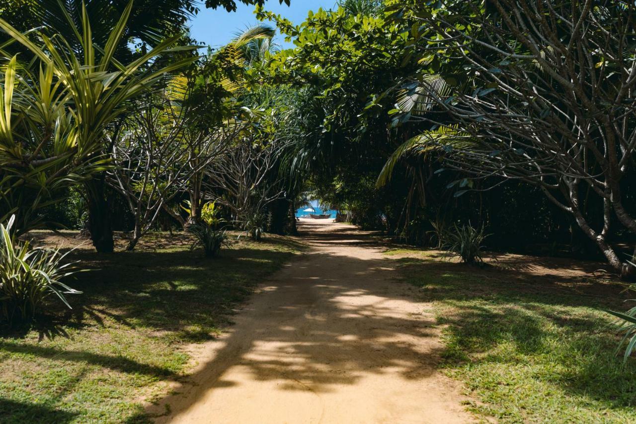 Amal Beach Hotel Bentota Exterior photo